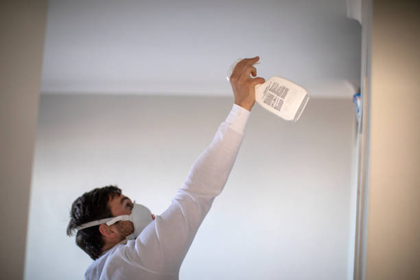 Best Residential Mold Removal  in Ferris, TX
