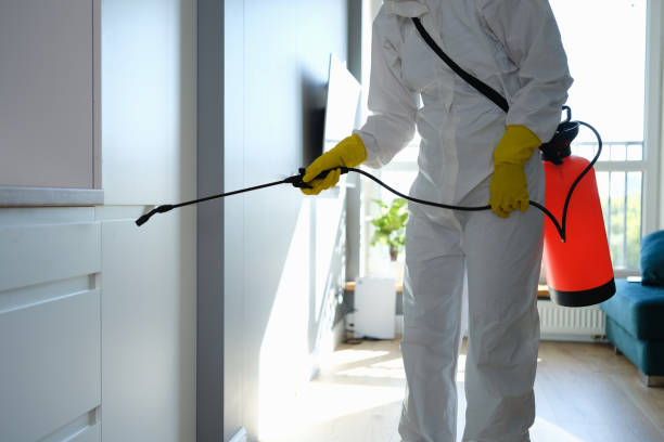 Best Residential Mold Removal  in Ferris, TX